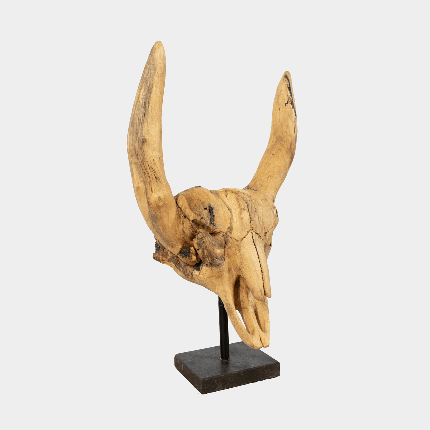Houtkunst van schedel