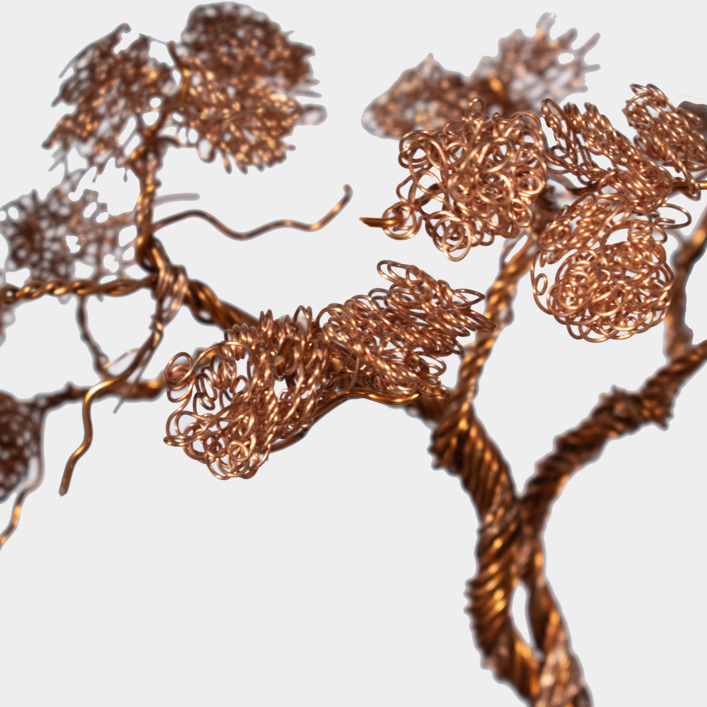 Tree of Life Copper