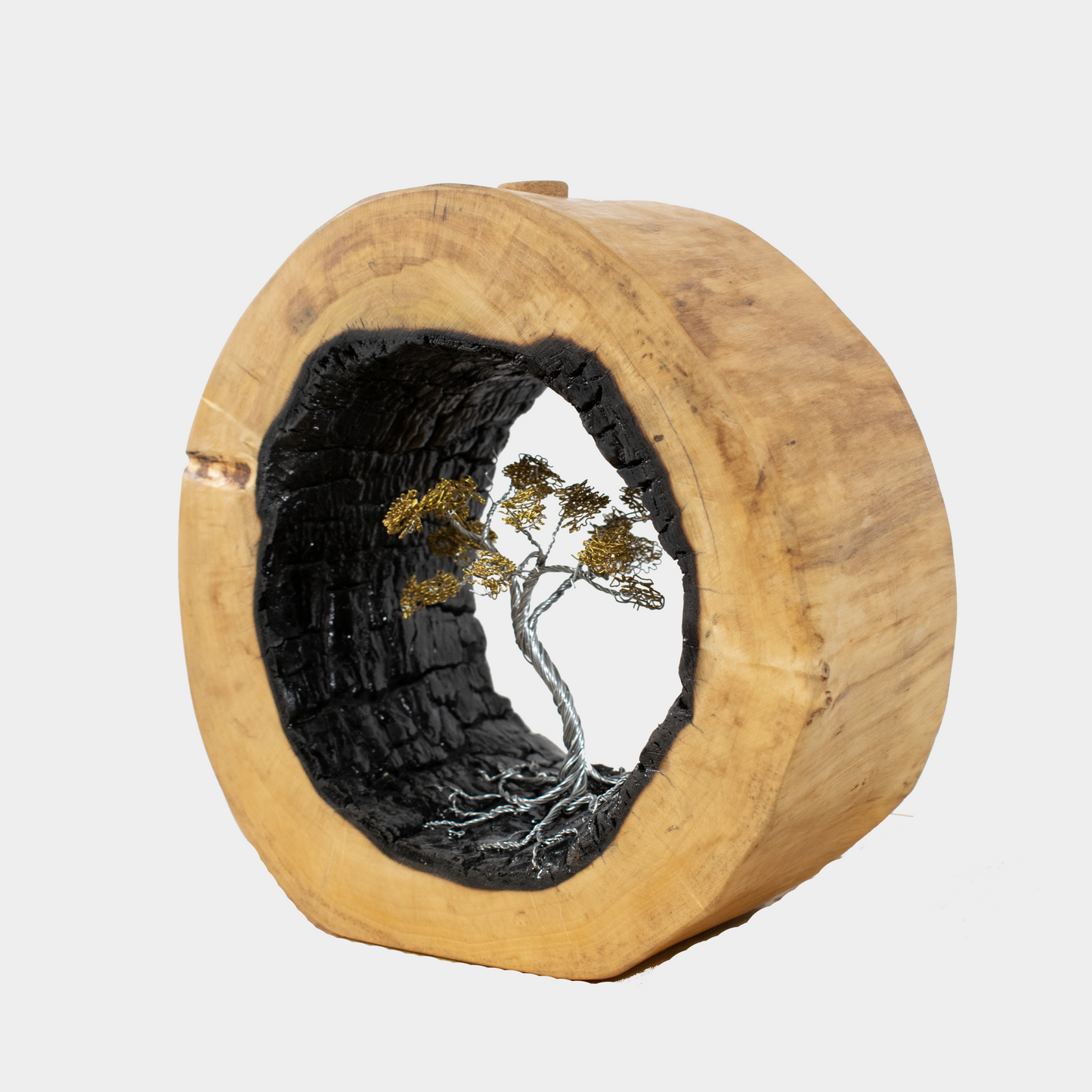 Unieke hout kunst van Semra Heydari met een boomvormige sculptuur in een natuurlijke houten cirkel