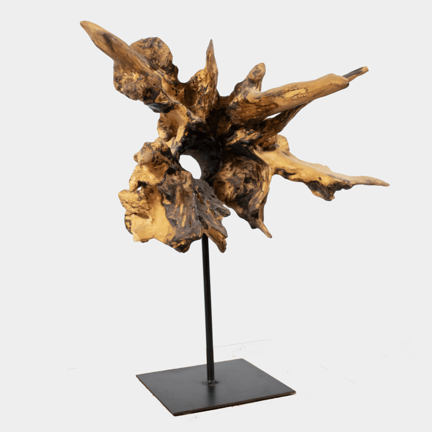 Houten sculptuur op voet van Semra Heydari met organische vormen en natuurlijke houttextuur