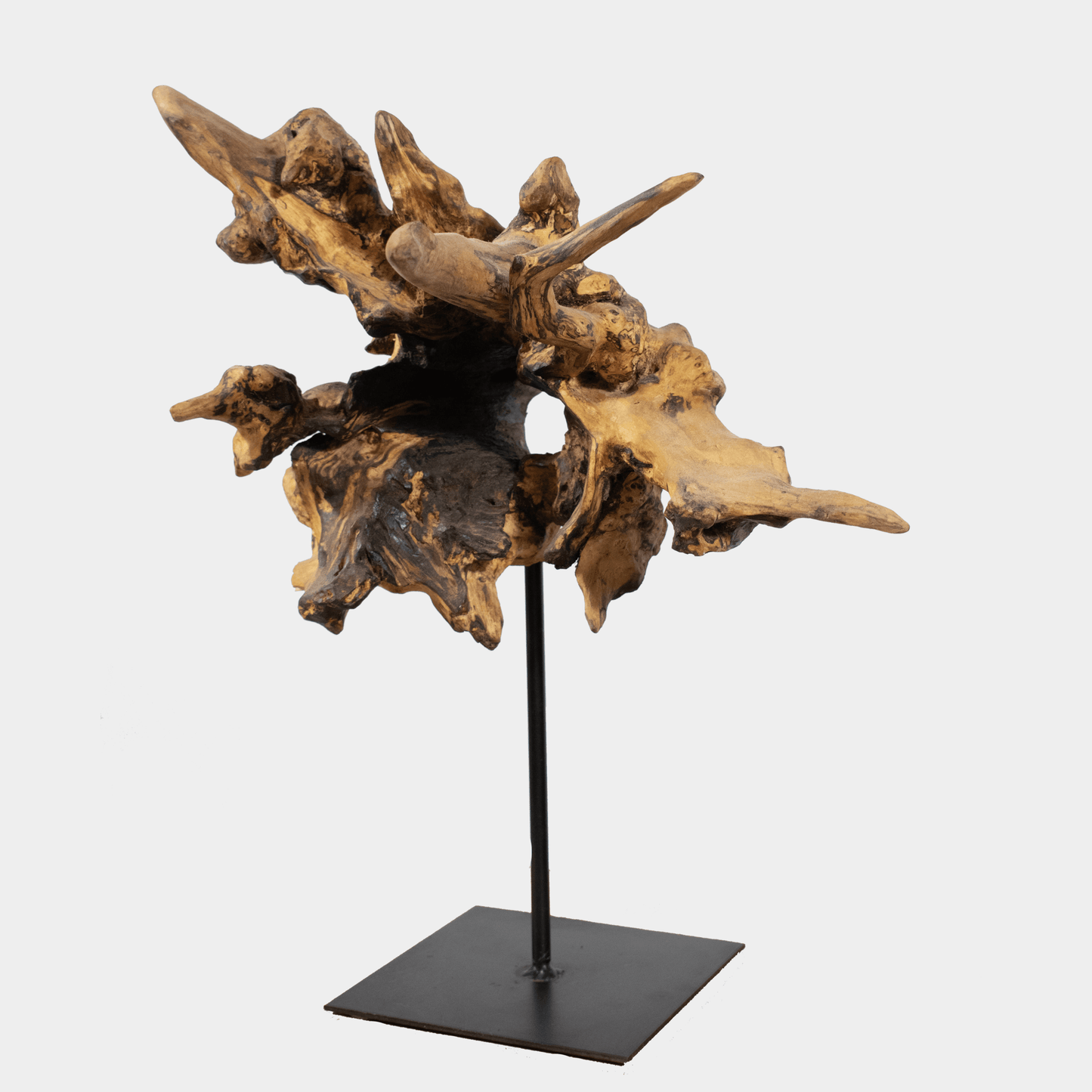 Semra Heydari houten sculptuur op voet met abstracte natuurlijke vormen en donkere afwerking