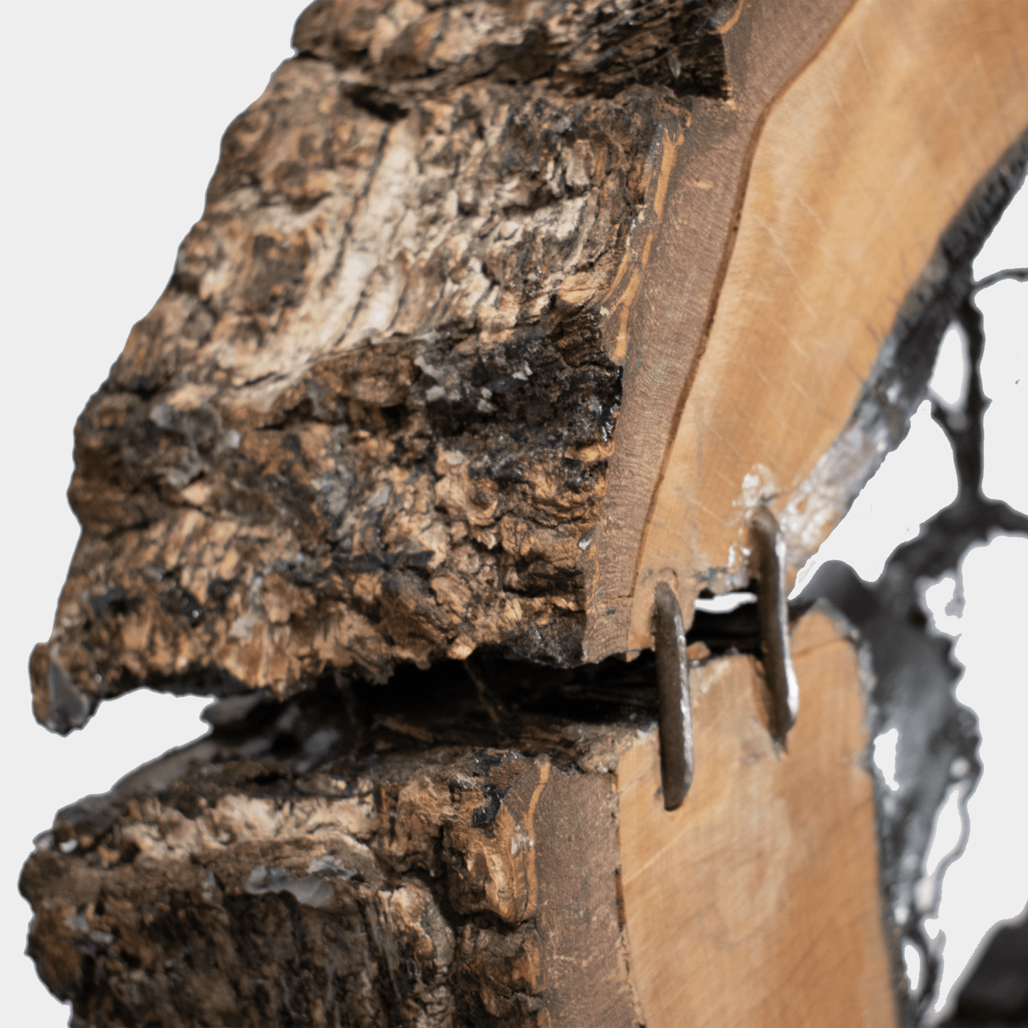Gedetailleerd close-up van Ishizuki boom kunstobject van Semra Heydari met natuurlijke houttextuur
