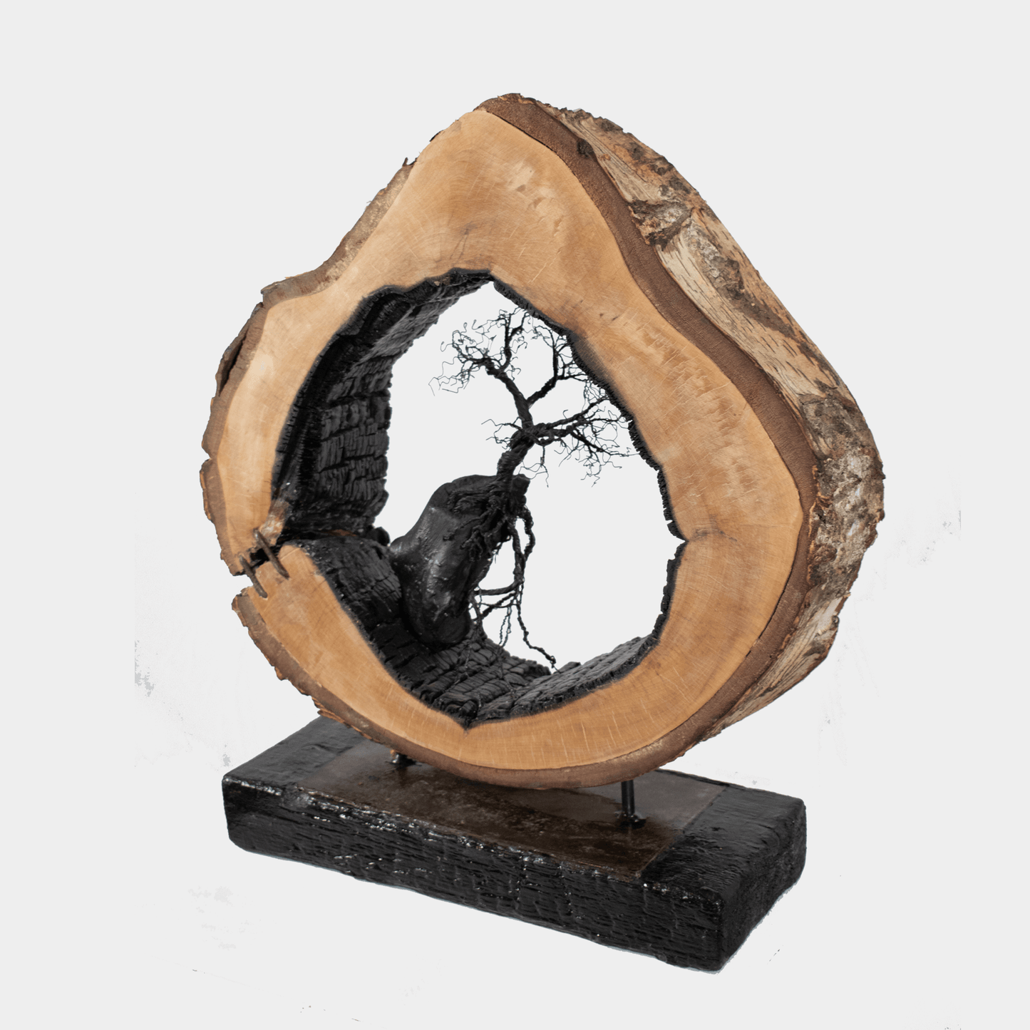 Ishizuki boom kunstobject van Semra Heydari met unieke houten structuur en boomvorm op zwarte standaard
