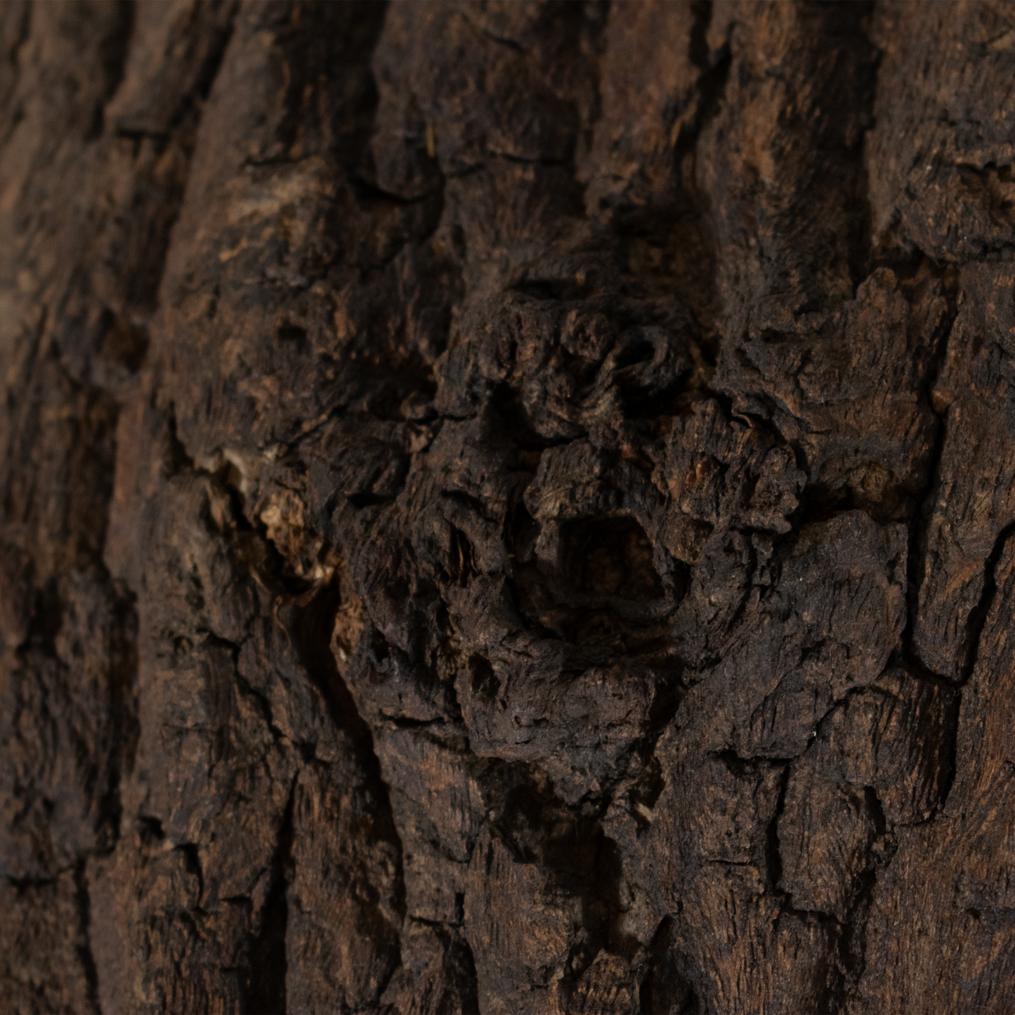 Detail van houtkunst kunst beeld Mother Earth met ruwe donkere textuur van boomschors