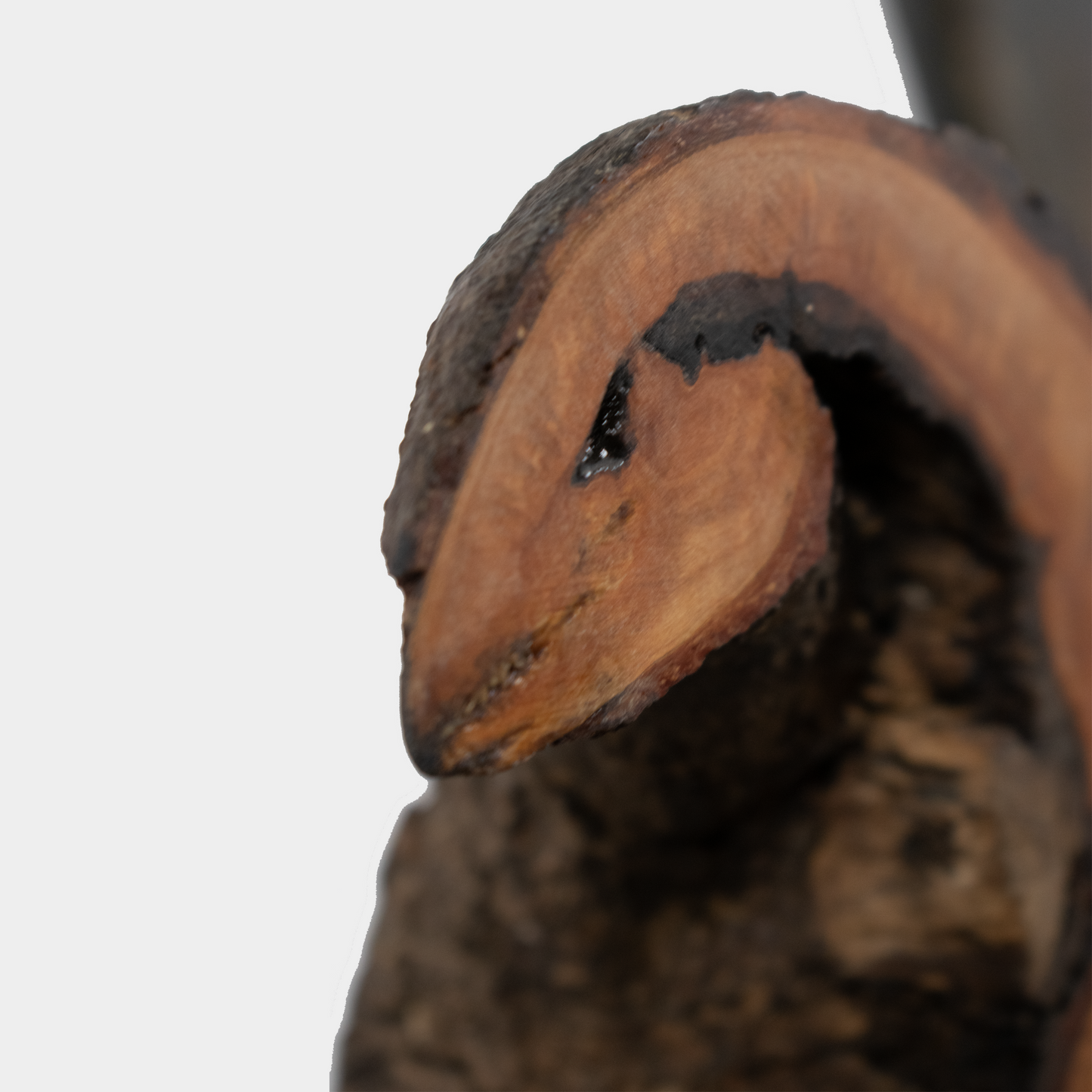 Detail van een kunst beeld sculptuur hout gemaakt door Semra Heydari met natuurlijke houttextuur