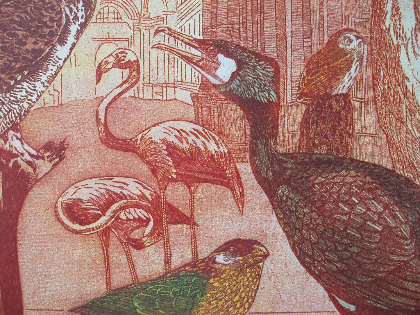 Annemarie Petri ornithologisch kunstwerk met verschillende vogels in levendige kleuren