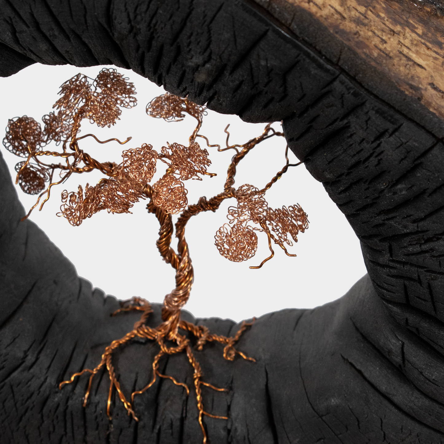 Tree of Life beeld kopen van Semra Heydari met koperen draadkunst en houten omlijsting