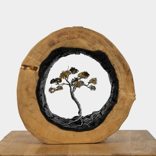 Uniek sculptuur met boom
