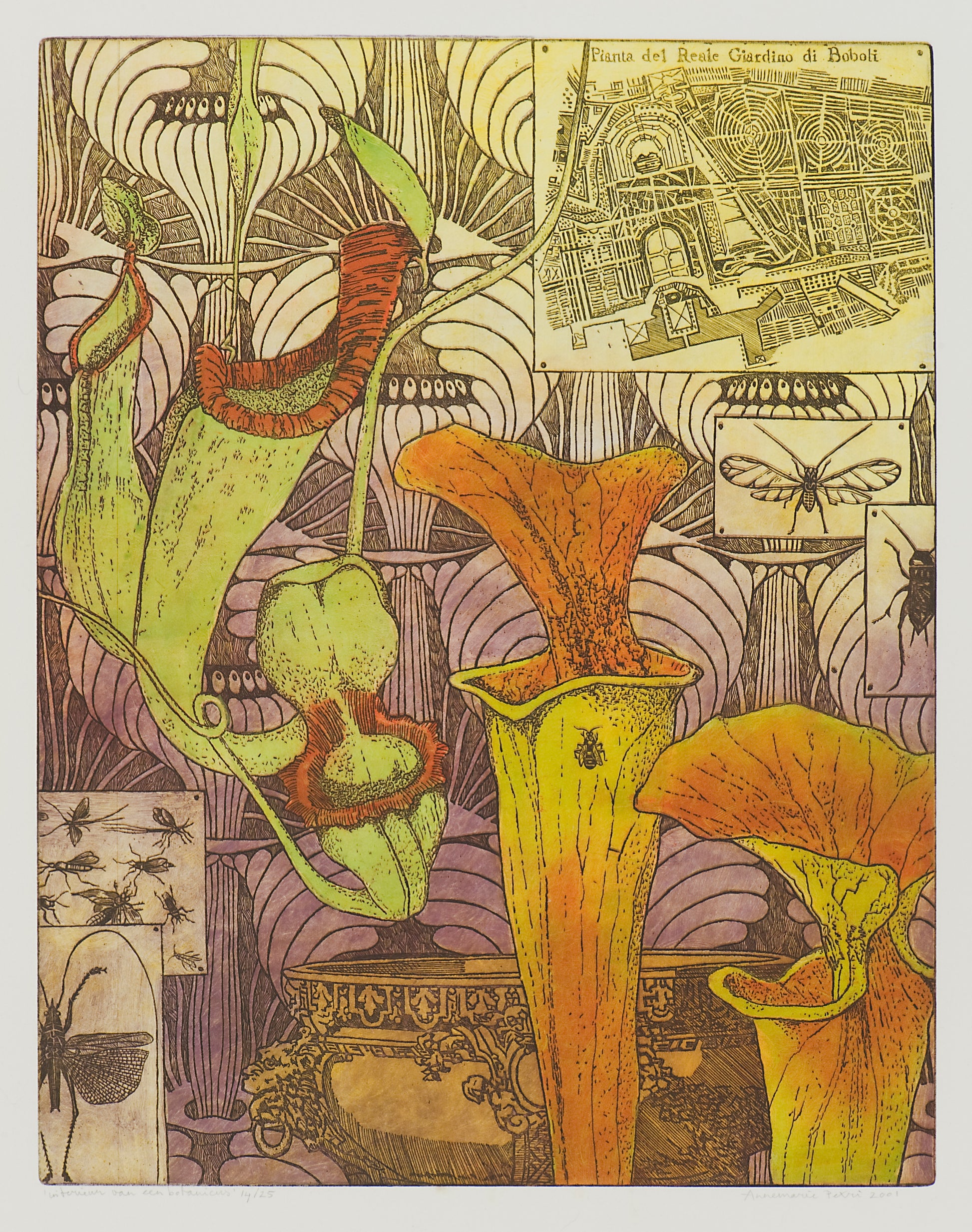 Annemarie Petri botanisch kunstwerk kopen met kleurrijke bloemen en insecten in gedetailleerde ets.