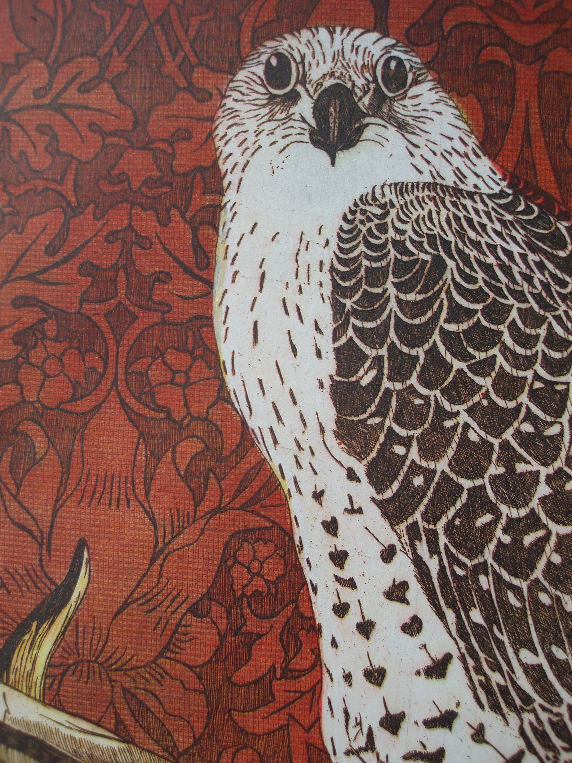 Detail van een ets kunstwerk met een majestueuze vogel op een rode decoratieve achtergrond