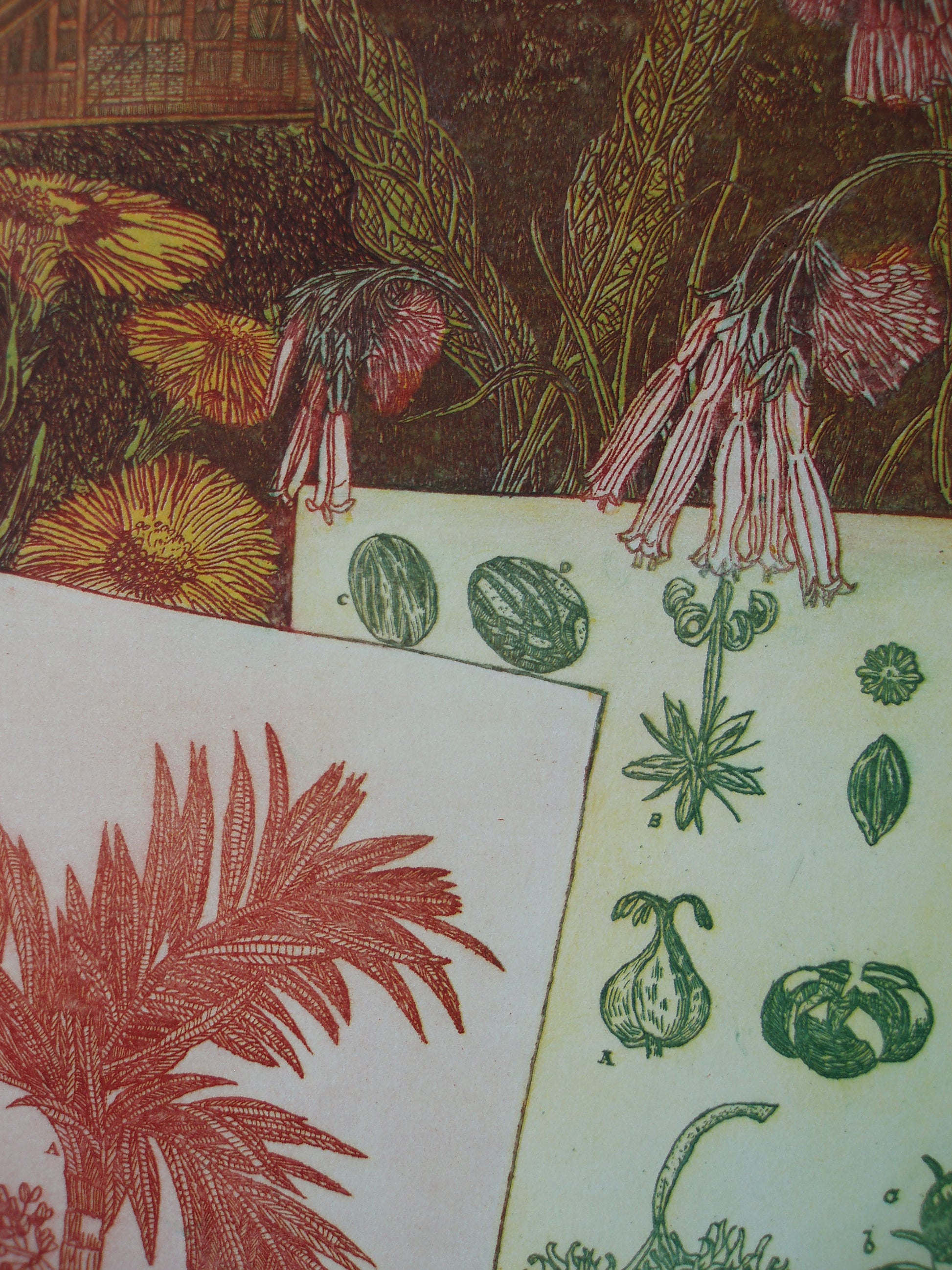 Kleurrijke ets in detail met planten en bloemen, een ets kunstwerk van Annemarie Petri