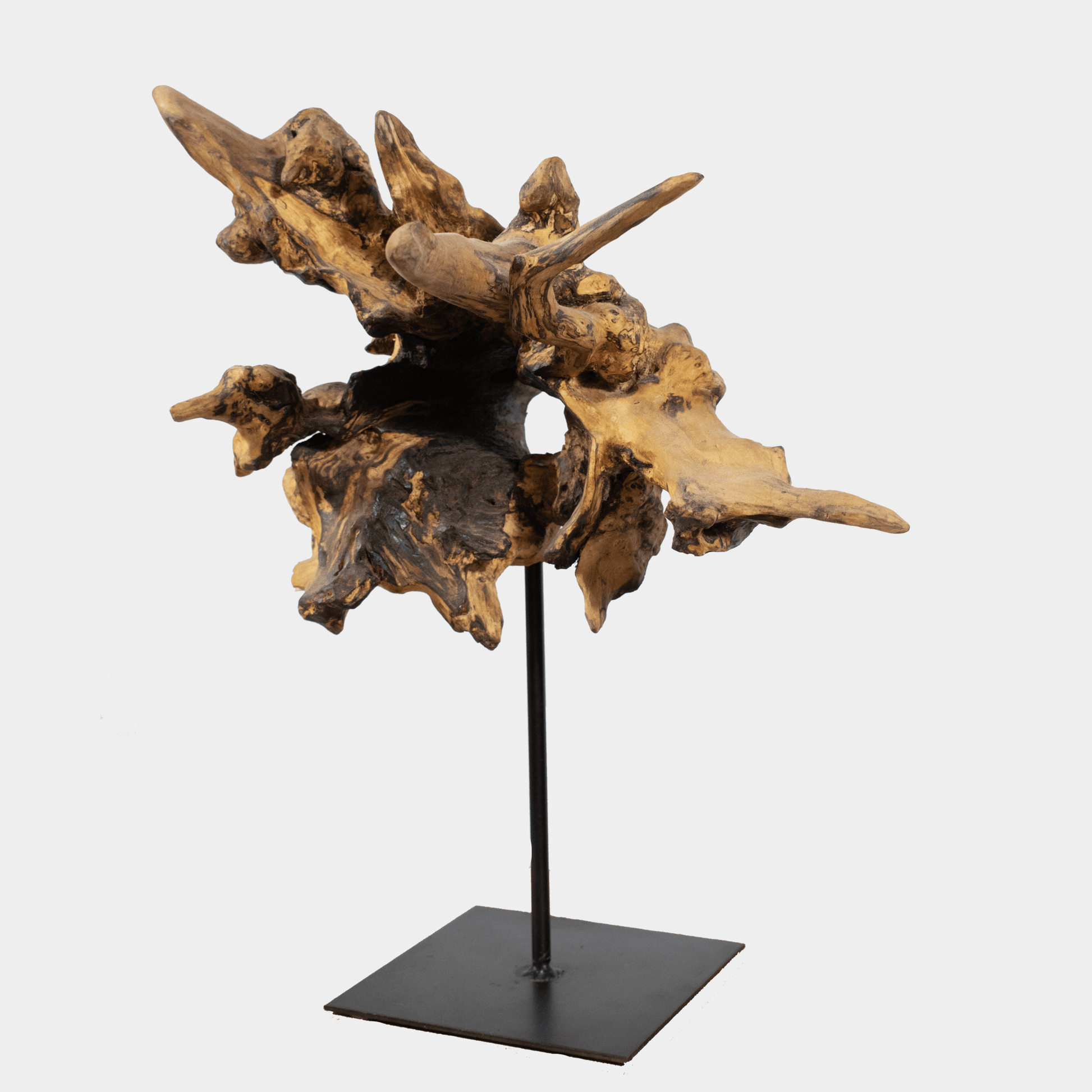 Semra Heydari houten sculptuur op voet met abstracte natuurlijke vormen en donkere afwerking