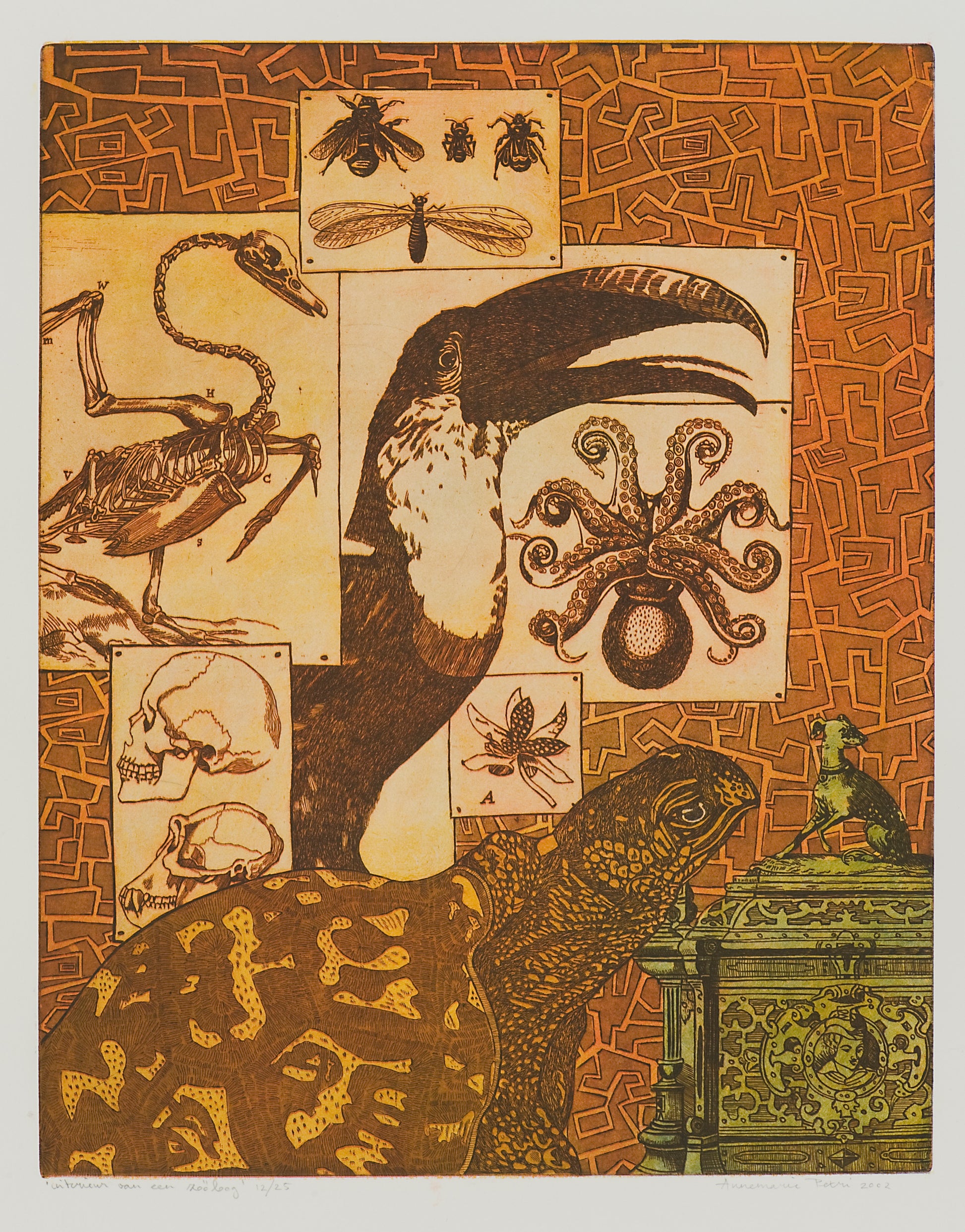 Ets van Annemarie Petri met het interieur van een zoöloog, inclusief dierenillustraties en objecten