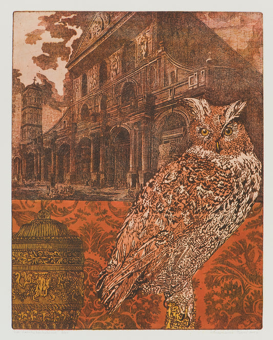 Ets van een uil voor een historisch gebouw, ideaal voor een rariteitenkabinet kunst verzameling