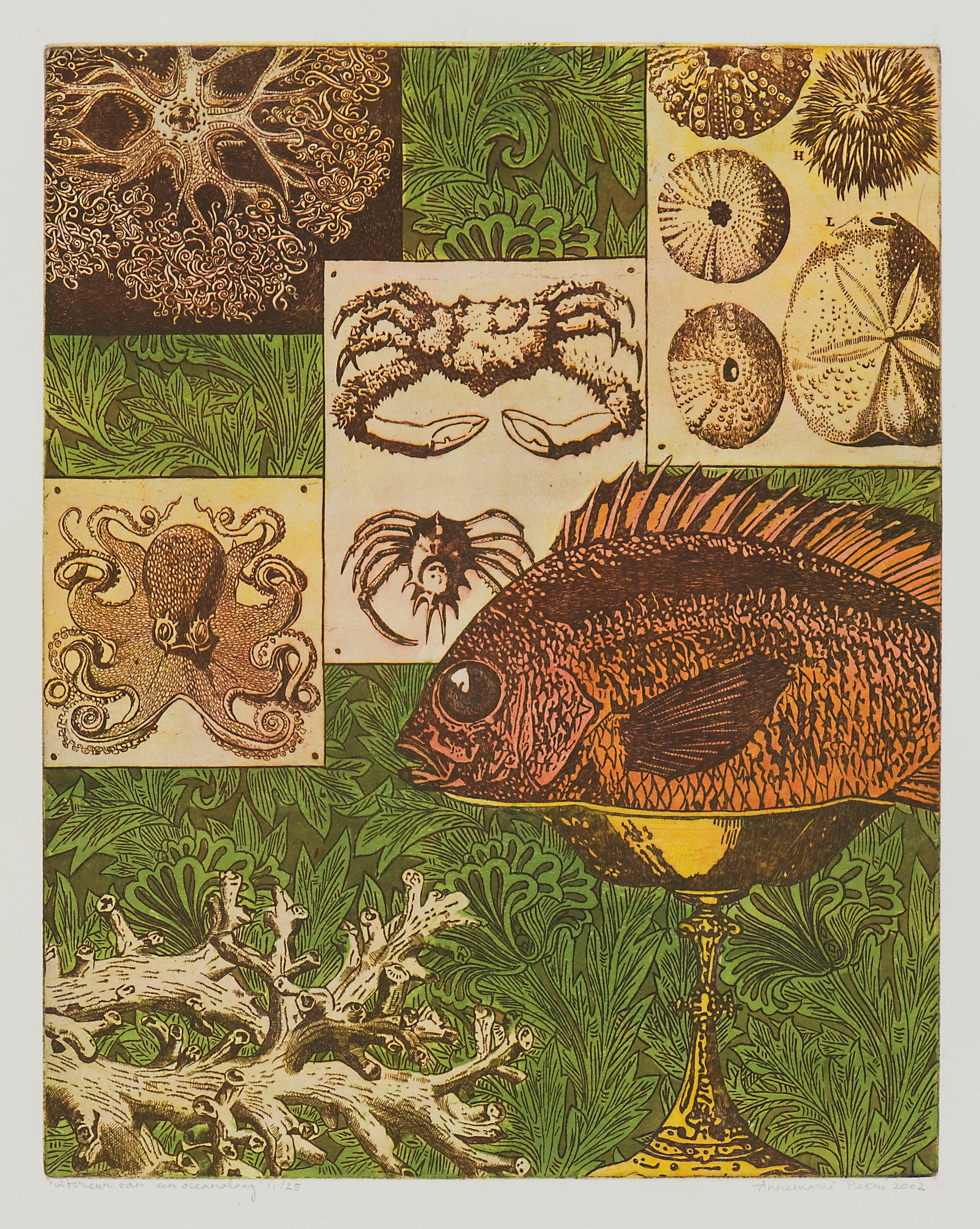 Ets van Annemarie Petri met verschillende zeeleven afbeeldingen als kunstwerk oceanologisch