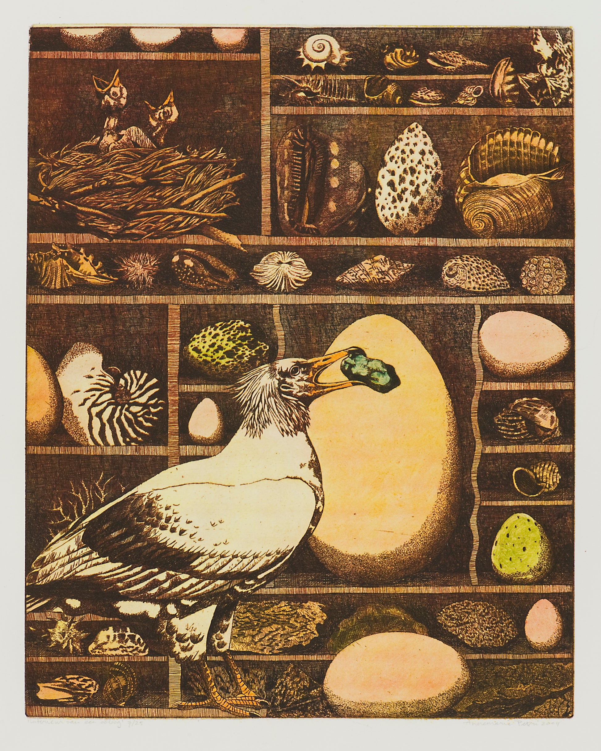 Ets van Annemarie Petri met een vogel en eieren, kunstwerk oöloog in kleurrijke details
