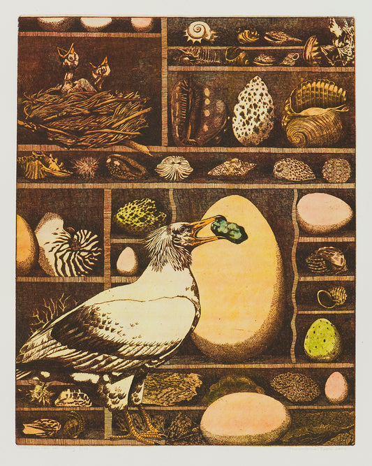 Ets van Annemarie Petri met een vogel en eieren, kunstwerk oöloog in kleurrijke details