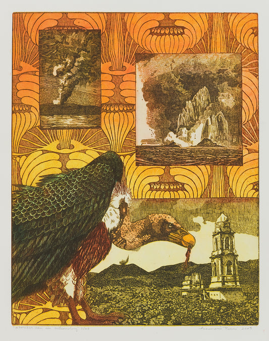 Origineel kunstwerk vulkanoloog van Annemarie Petri met dramatische vulkaanuitbarstingen en natuurbeelden