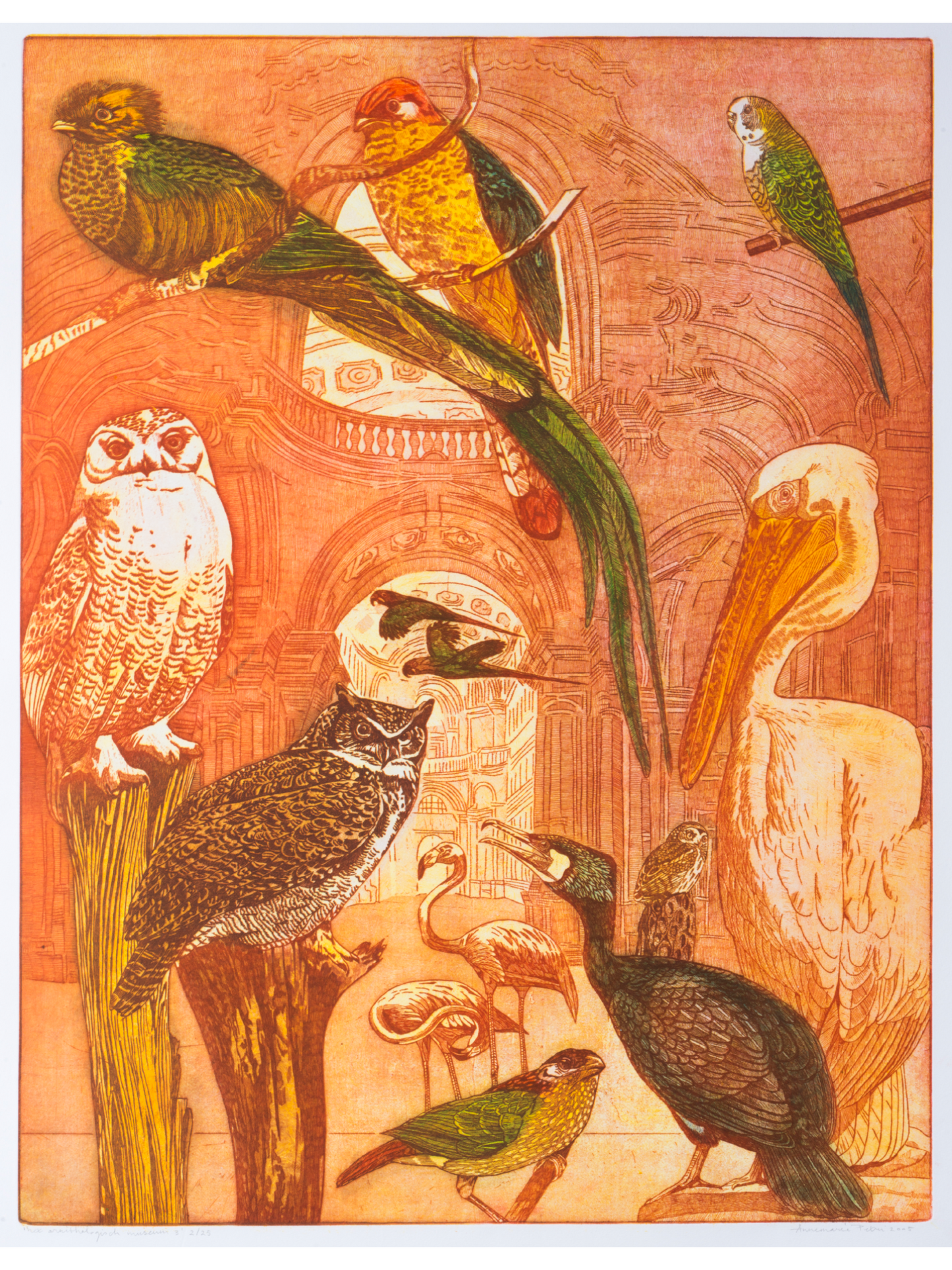 Ets van Annemarie Petri met kleurrijke vogels in een ornithologisch kunstwerk