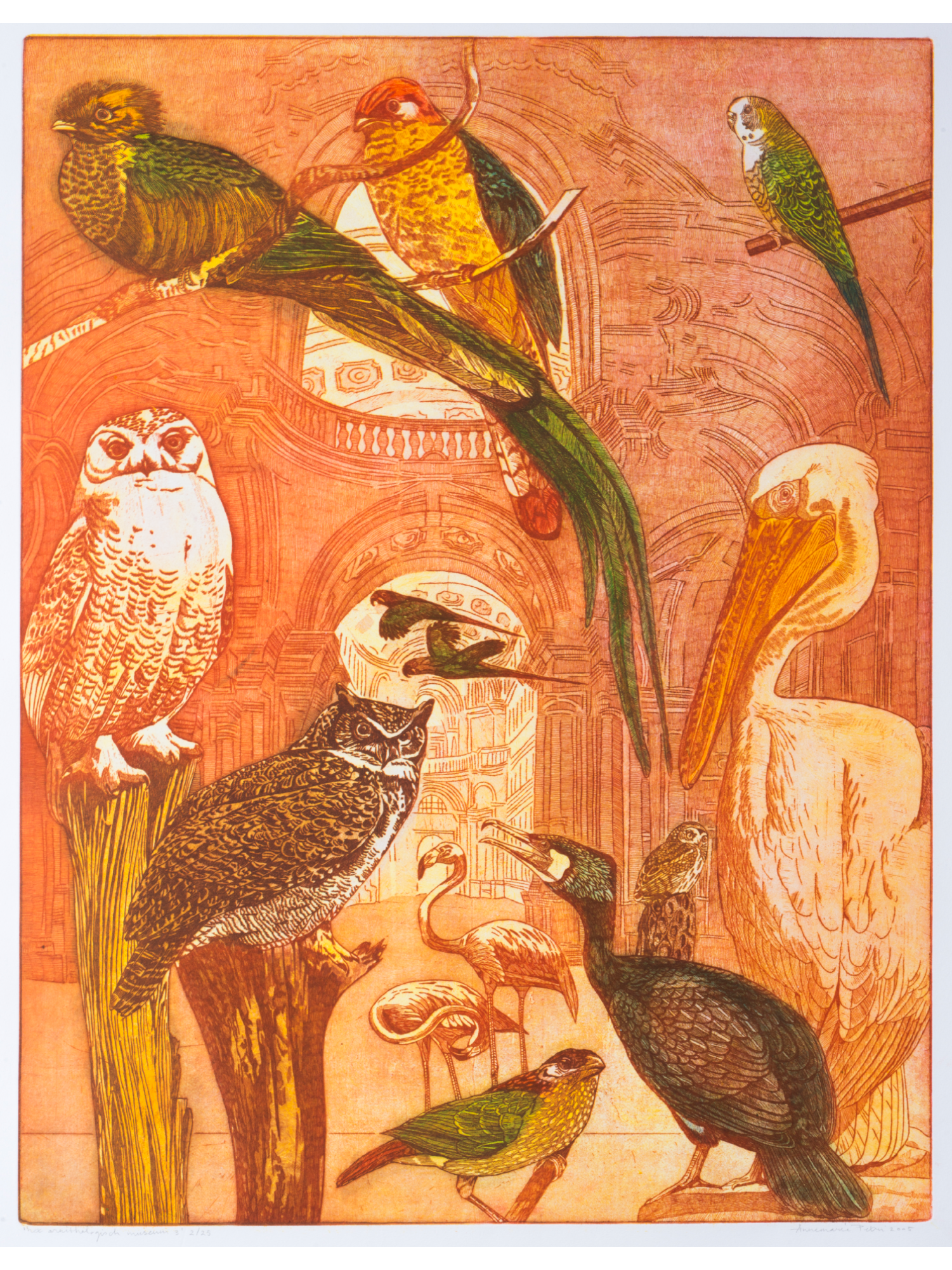 Ets van Annemarie Petri met kleurrijke vogels in een ornithologisch kunstwerk