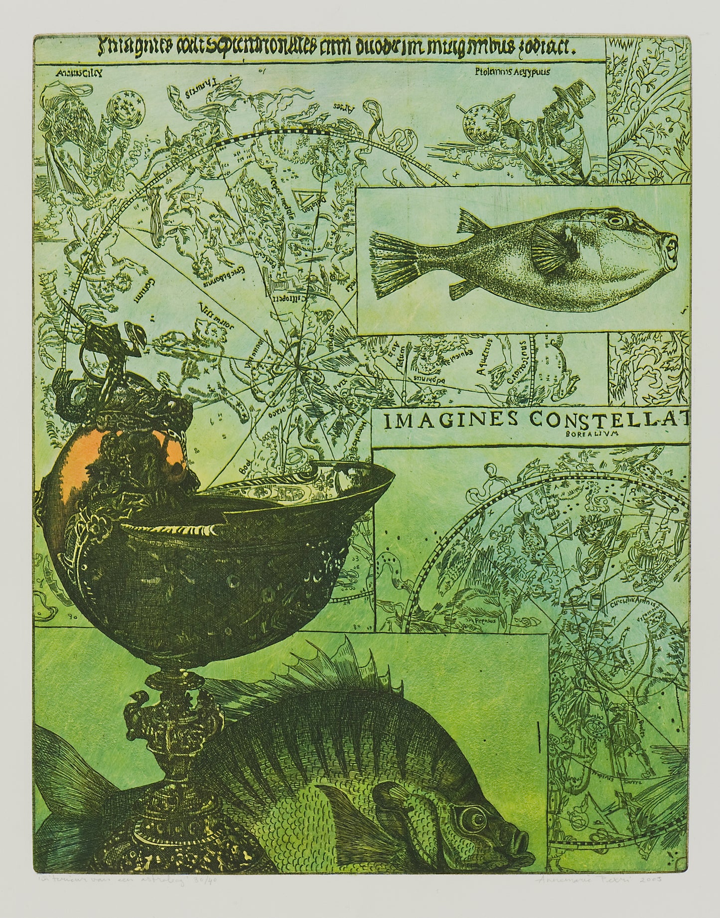 Uniek ets kunstwerk van Annemarie Petri met sterrenbeelden en visillustraties in levendige kleuren