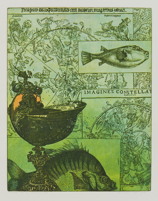 Uniek ets kunstwerk van Annemarie Petri met sterrenbeelden en visillustraties in levendige kleuren